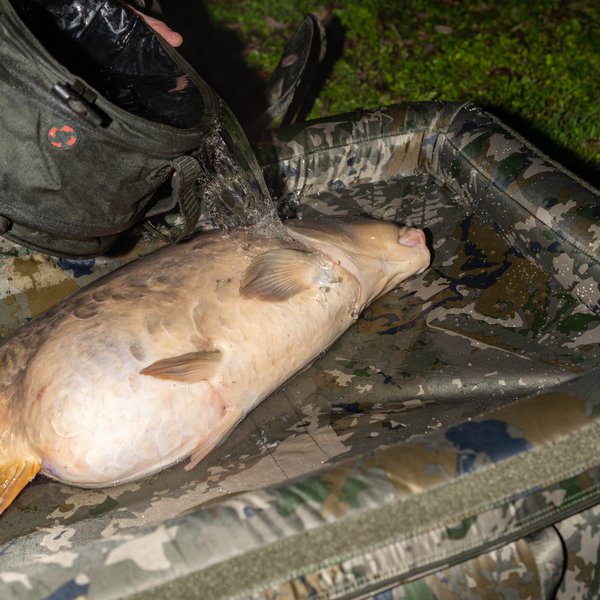 Carp Air Cradle Camo