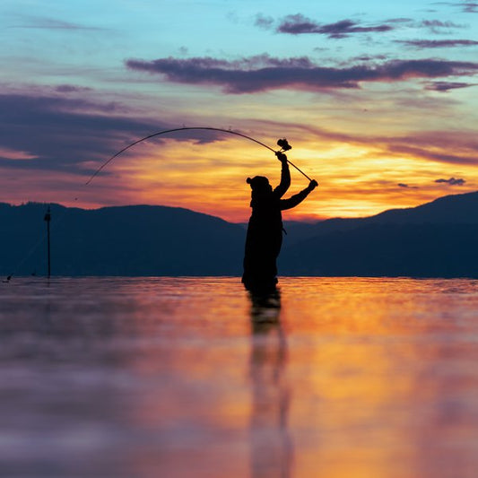 3 x X-Series 10ft 3lb Carp Fishing Rods