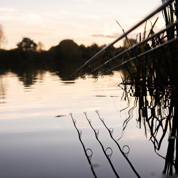 3 x X-Series 10ft 3lb Carp Fishing Rods