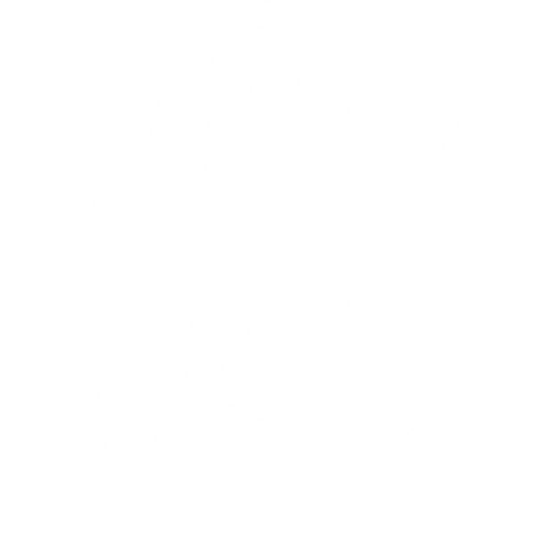 Rippa Tackle