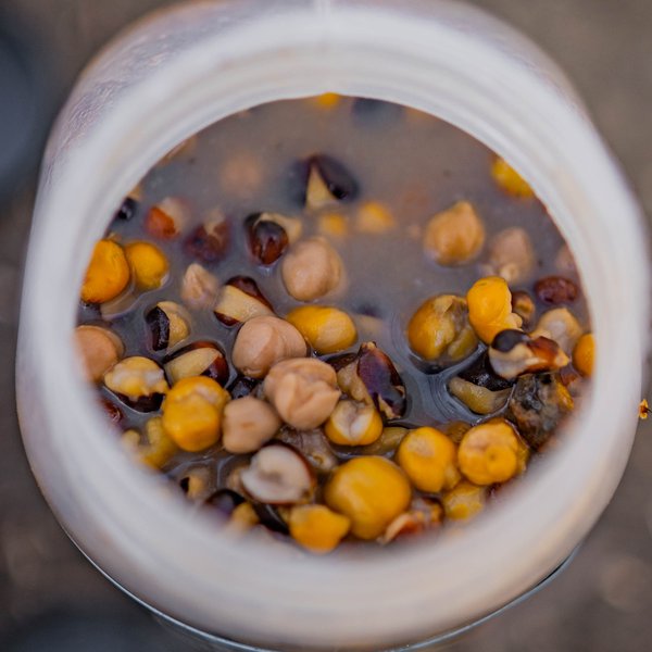 Large Seed Mix - 2.5L