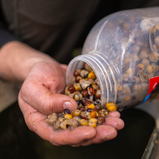 Large Seed Mix - 2.5L